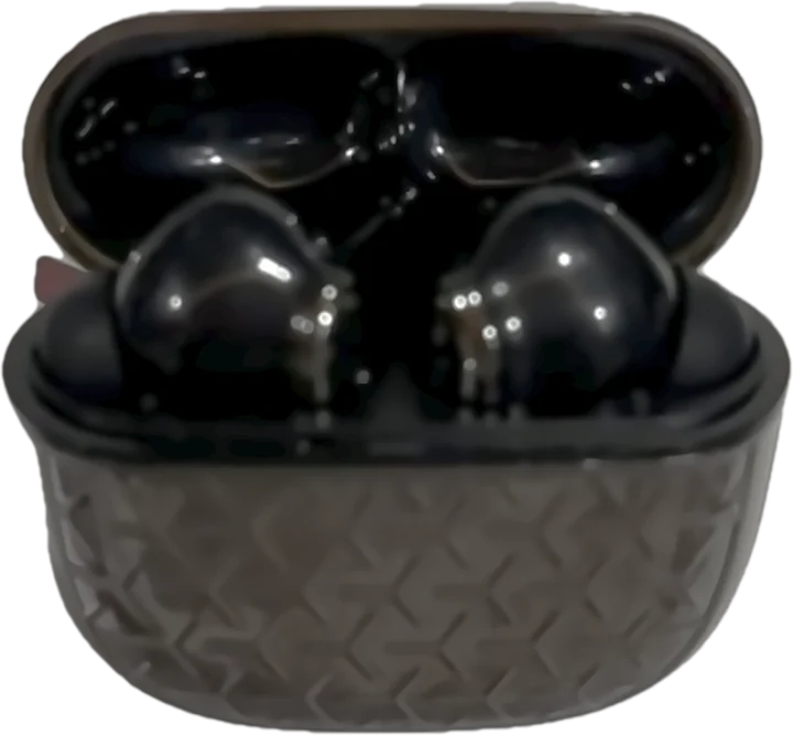 Bester BMC-50: earbuds in their case