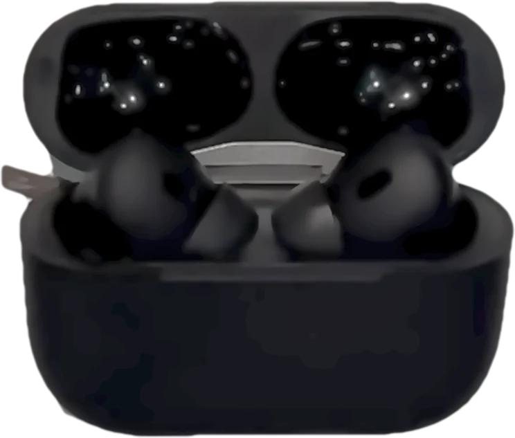 CarveBuds Noir: earbuds in their case